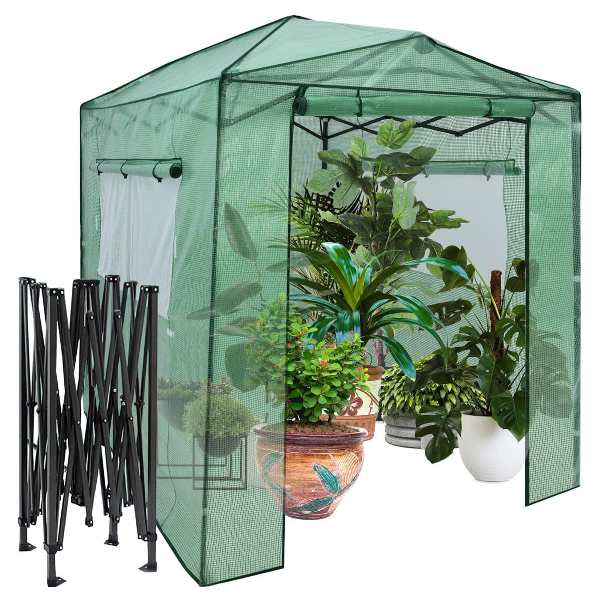 CostwaySerre de Jardin Portable avec 2 Larges Fenêtres Observation Tente pour Plantes Porte Enroulable à Double Fermeture Éclair 180 x 250CM