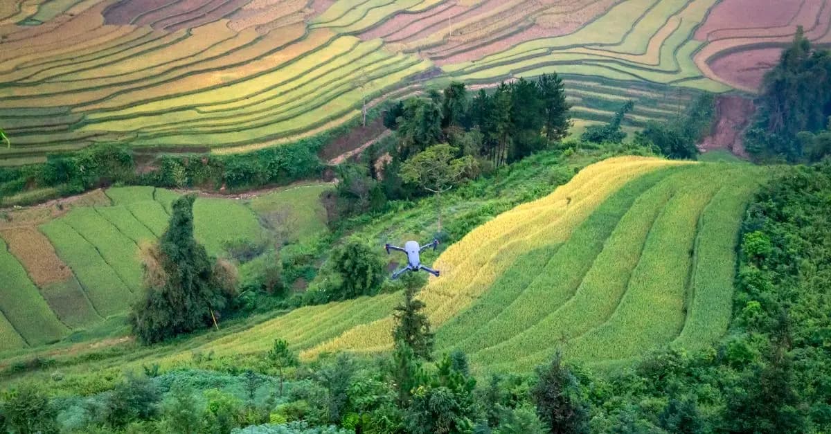 Top 5 des innovations en agriculture durable