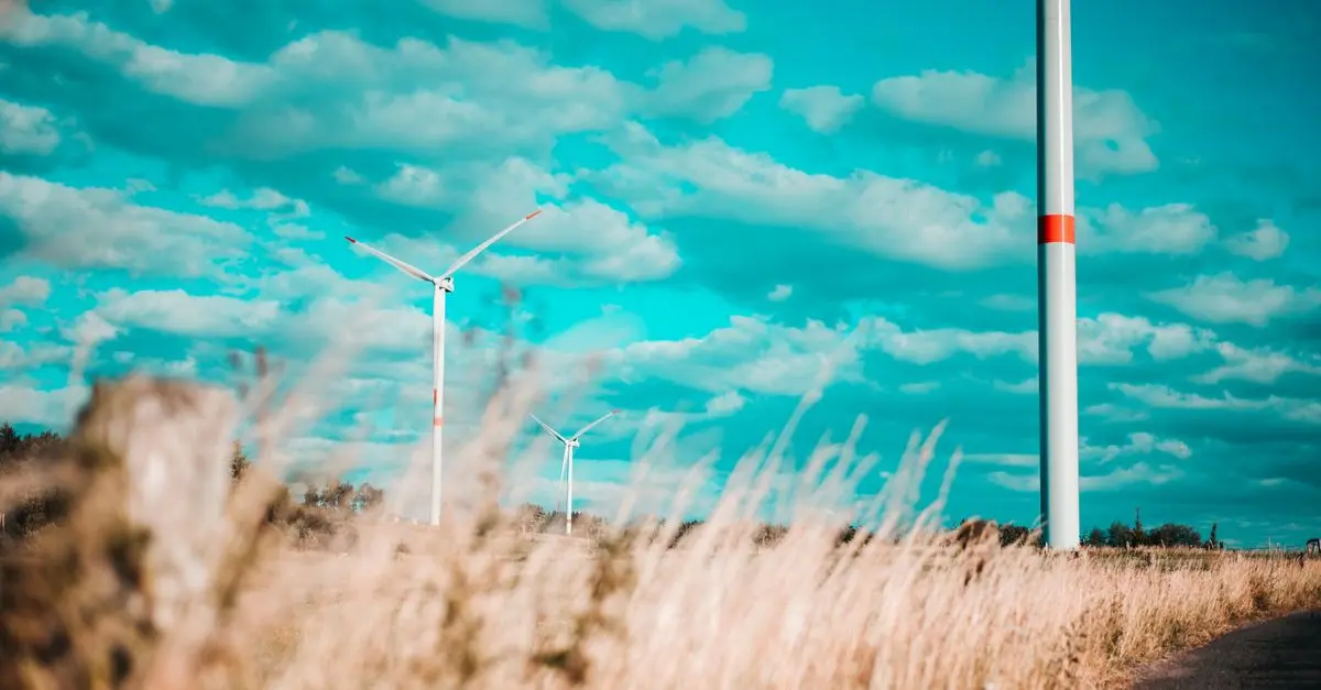 Énergie éolienne domestique : mythe ou réalité