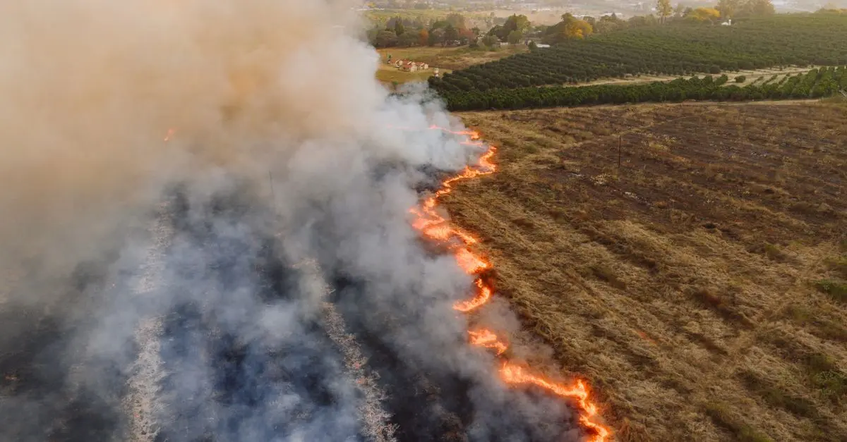 Les conséquences du changement climatique sur la biodiversité