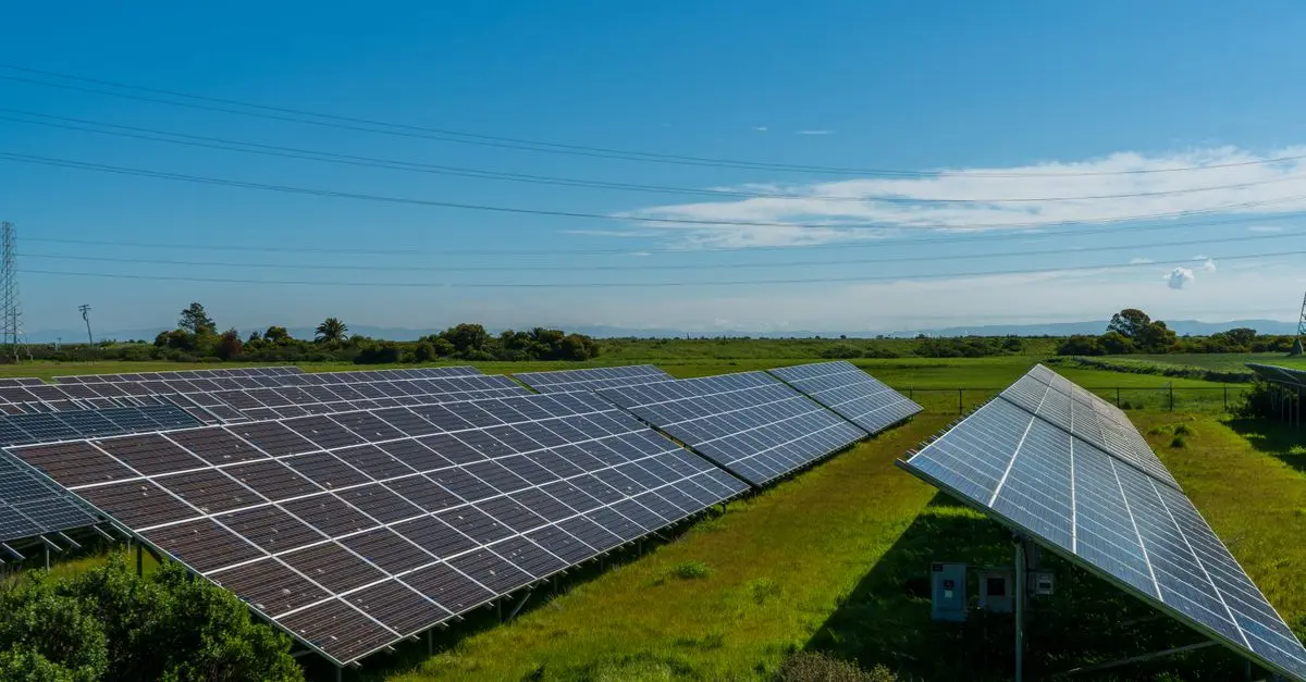 Les solutions pour un avenir écologique : vers une planète durable
