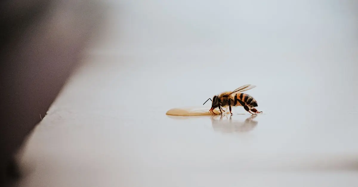 L'utilisation d'insectes pour combattre la pollution
