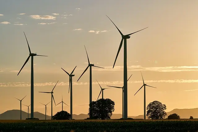 Comment les politiques publiques façonnent l'avenir écologique