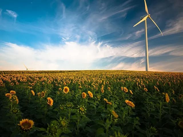 L'impact des technologies durables sur l'avenir écologique