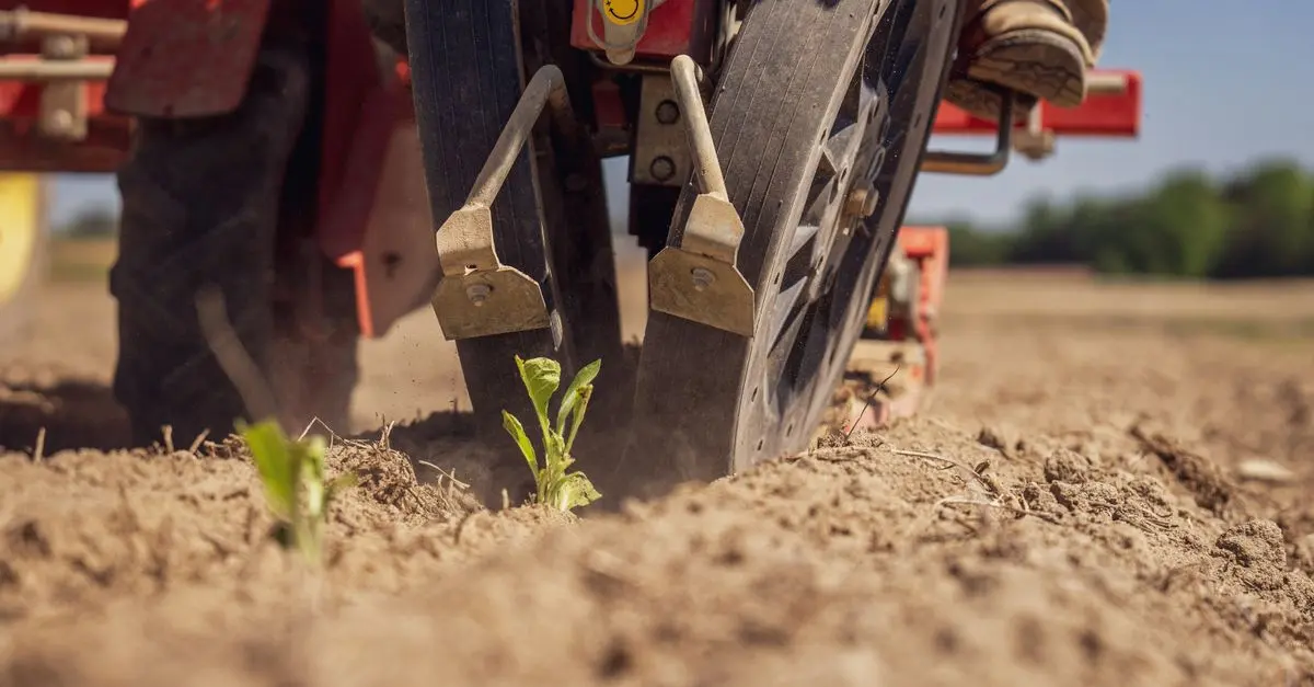 Les pratiques agricoles innovantes pour un avenir écologique
