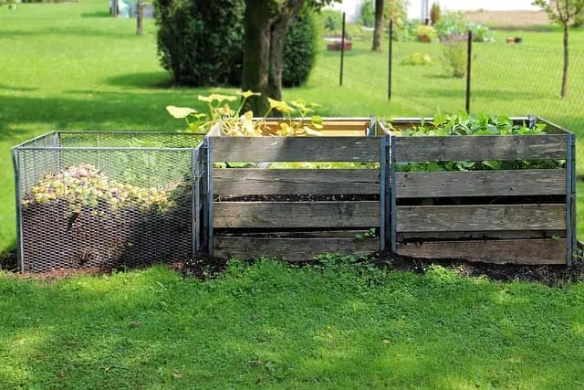 Les meilleures pratiques pour un jardin durable