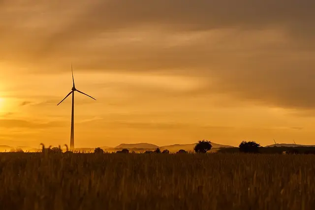 Les enjeux de l'écologie dans la construction durable