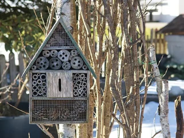Comment choisir des matériaux écologiques pour votre construction