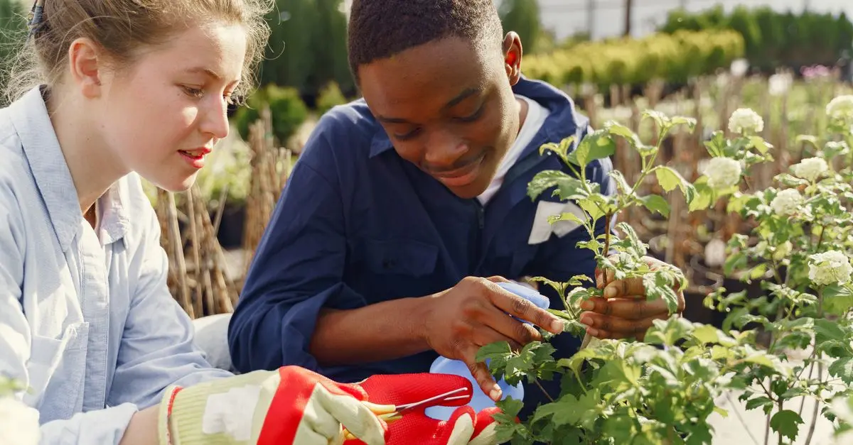 Les avantages des jardins communautaires pour un avenir écologique