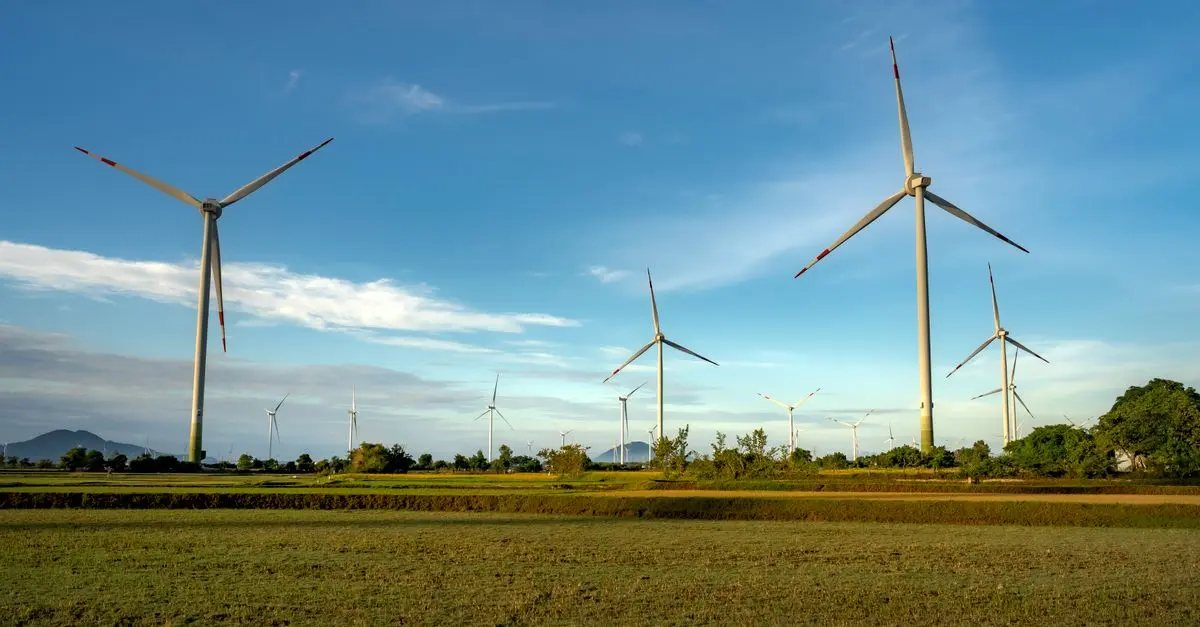 Les solutions innovantes pour l'avenir écologique