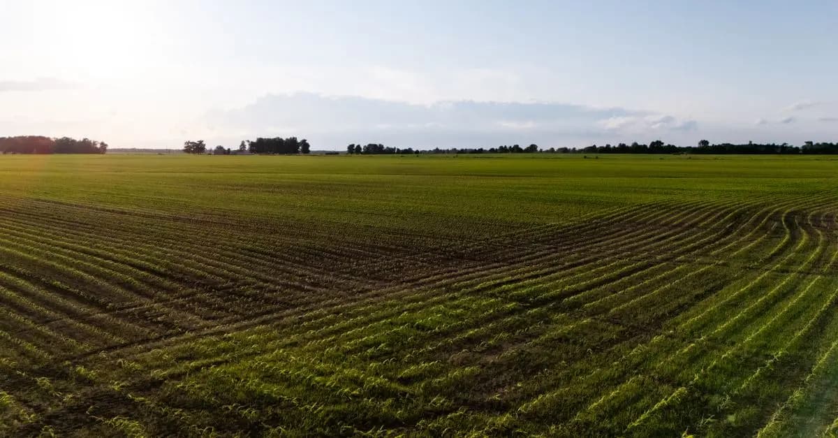 Comment l'agriculture régénérative façonne notre avenir écologique
