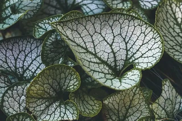 Comment la permaculture prépare l'avenir écologique