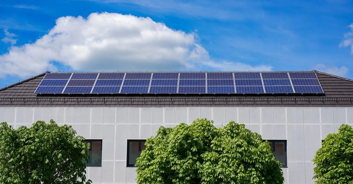 Les énergies renouvelables et leur rôle dans l'avenir écologique
