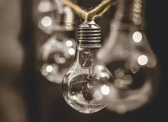 Comment l'innovation sociale prépare notre avenir écologique