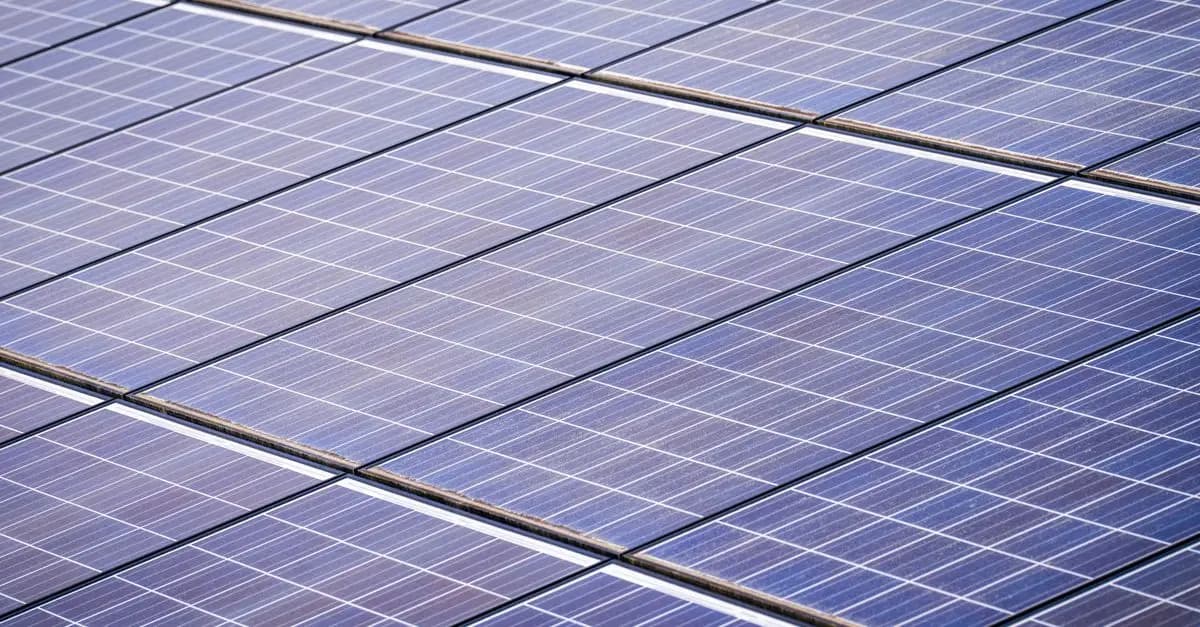 Comment les entreprises peuvent innover pour un avenir écologique