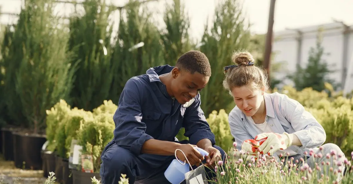 La permaculture : jardinage durable et rentable