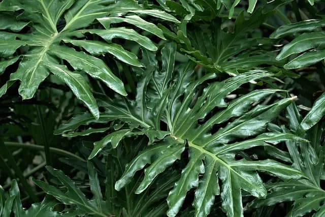 Comment la nature inspire un avenir écologique durable