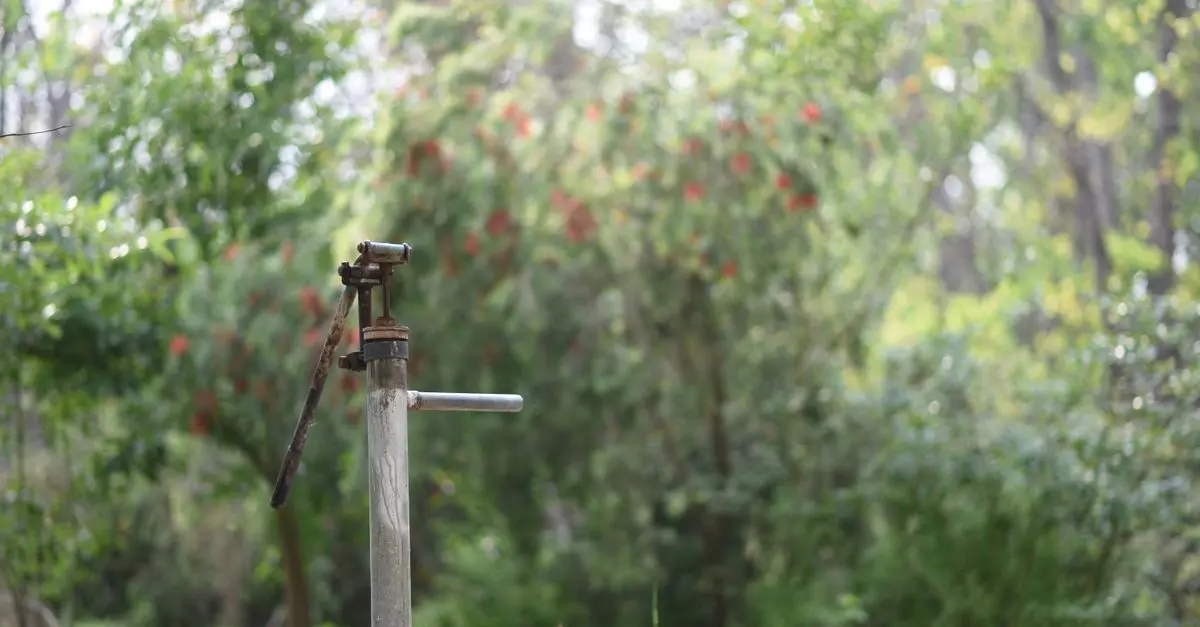Comment intégrer la permaculture dans votre jardin