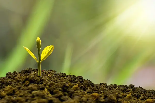 Comment la transition vers une économie circulaire façonne notre avenir écologique