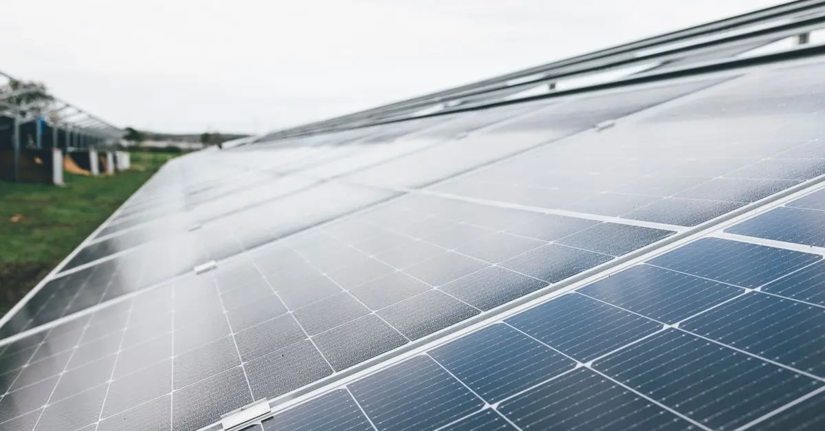Les défis cruciaux pour un avenir écologique réussi