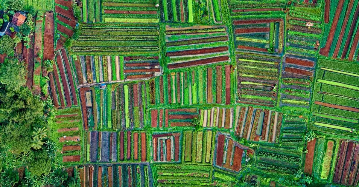 Comment l'agriculture régénérative transforme notre avenir écologique