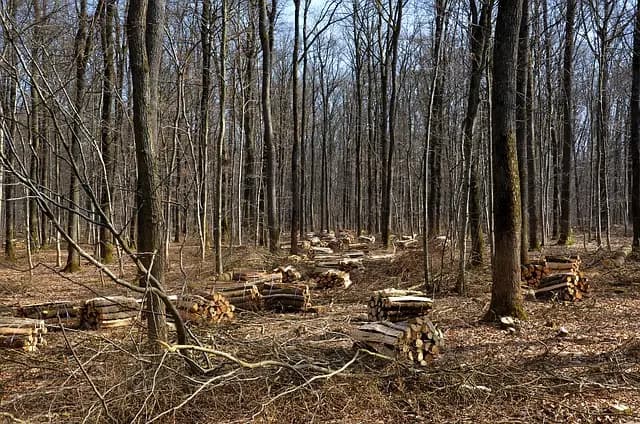 Comment l'économie circulaire prépare un avenir écologique durable