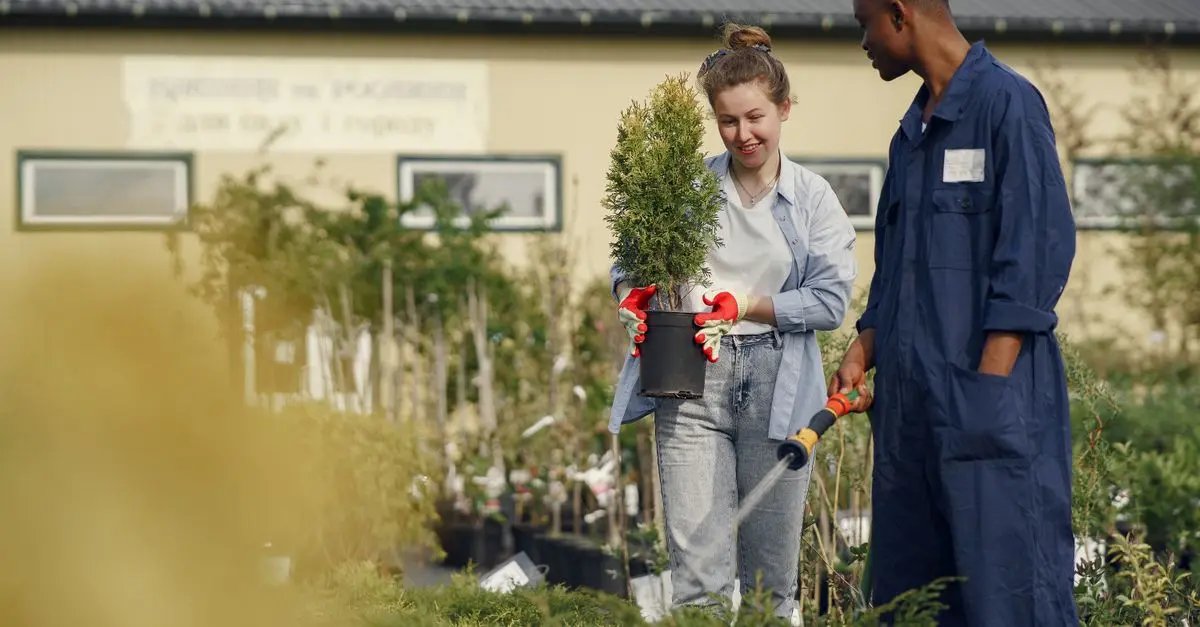 10 initiatives locales pour un avenir écologique inspirant