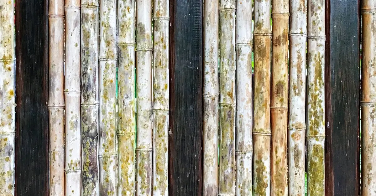 Comment le design durable façonne l'avenir écologique