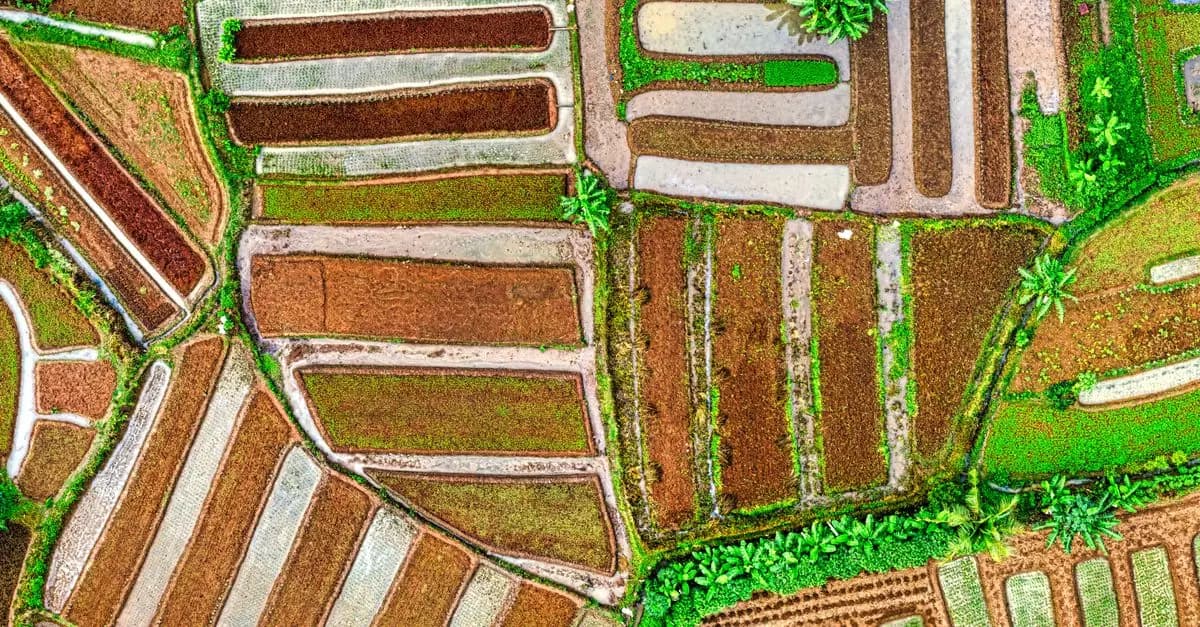 Les enjeux de l'agriculture durable pour l'avenir écologique