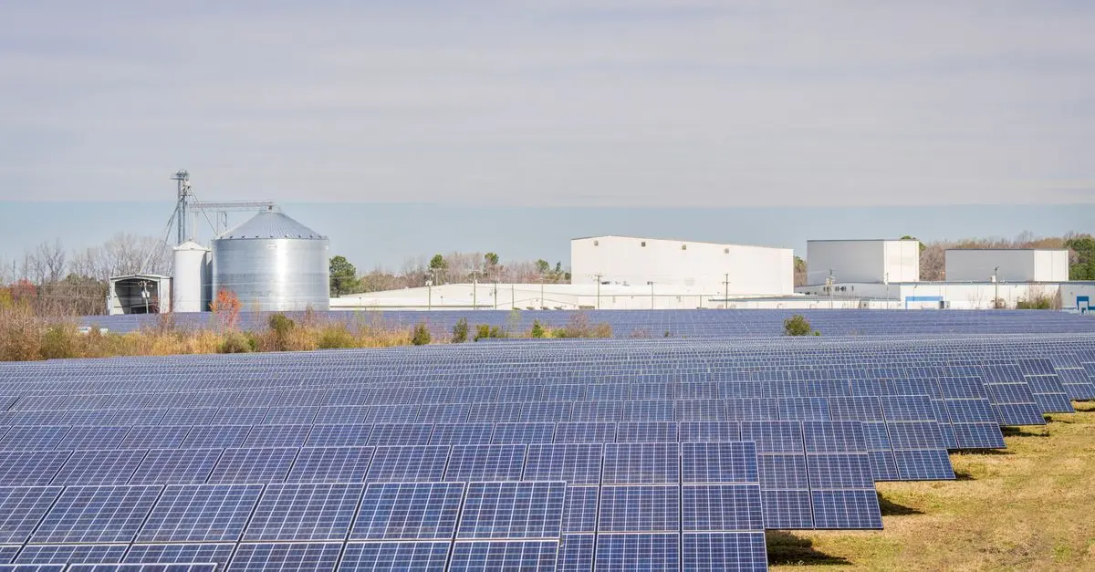 Les nouvelles technologies qui transforment l'avenir écologique
