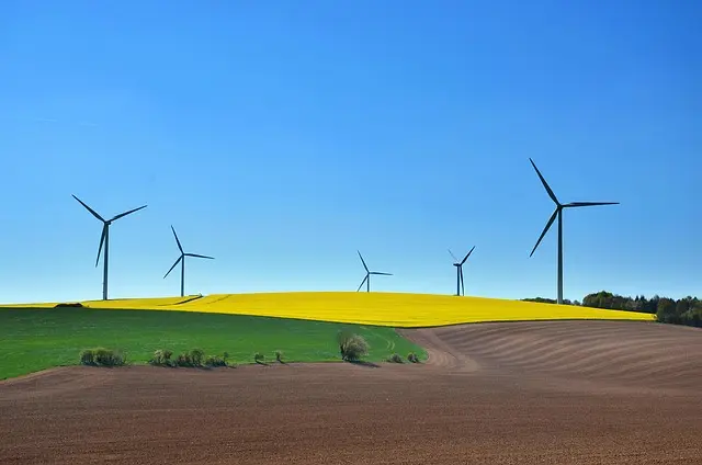 Les initiatives écologiques à suivre pour un avenir durable