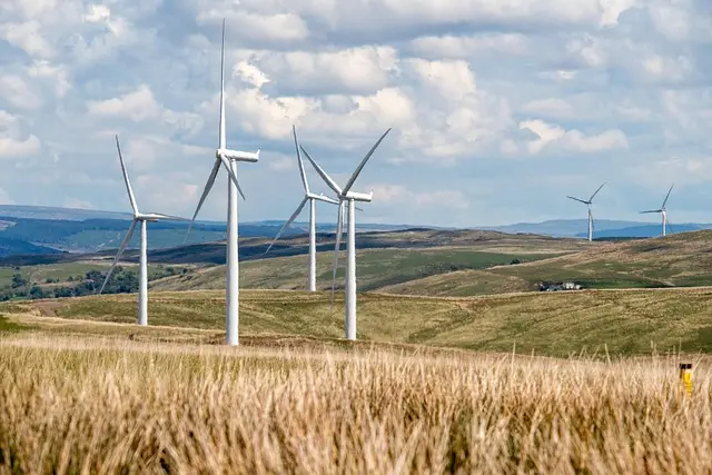 Les innovations vertes essentielles pour un avenir écologique durable
