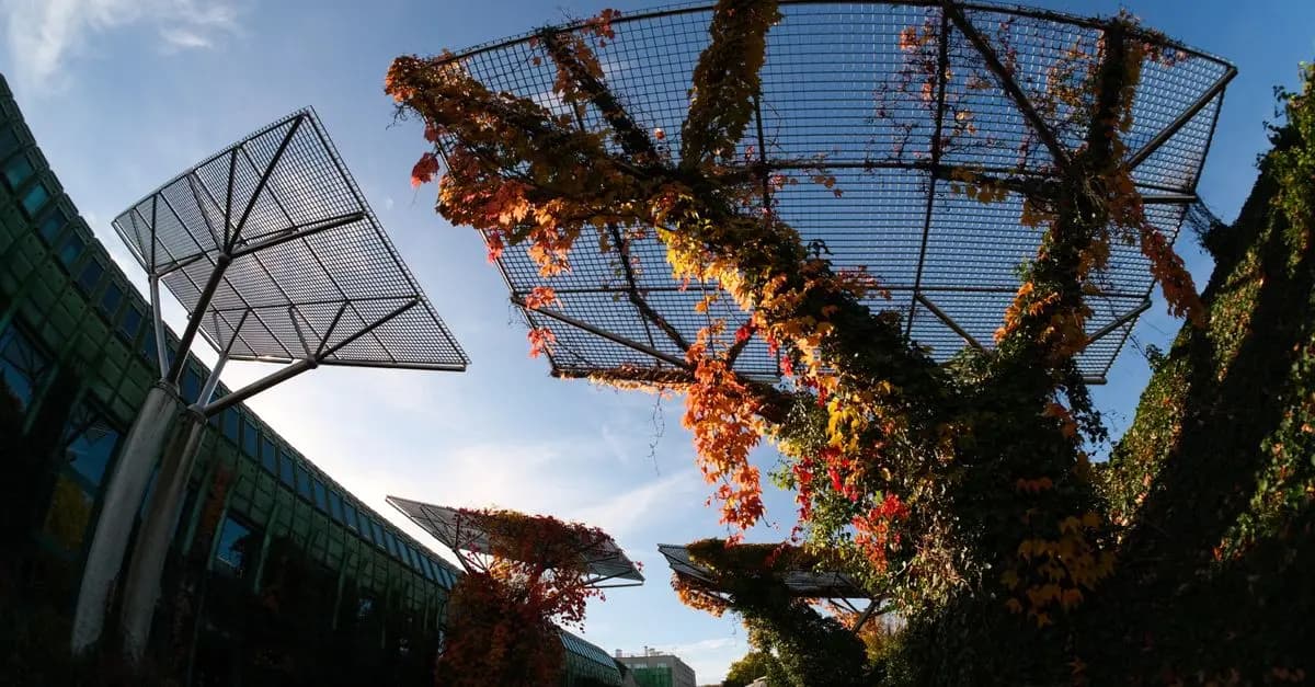 Comment les villes peuvent préparer un avenir écologique