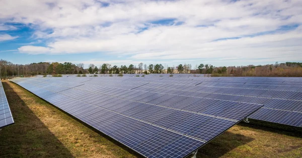 Les stratégies pour préparer un avenir écologique durable