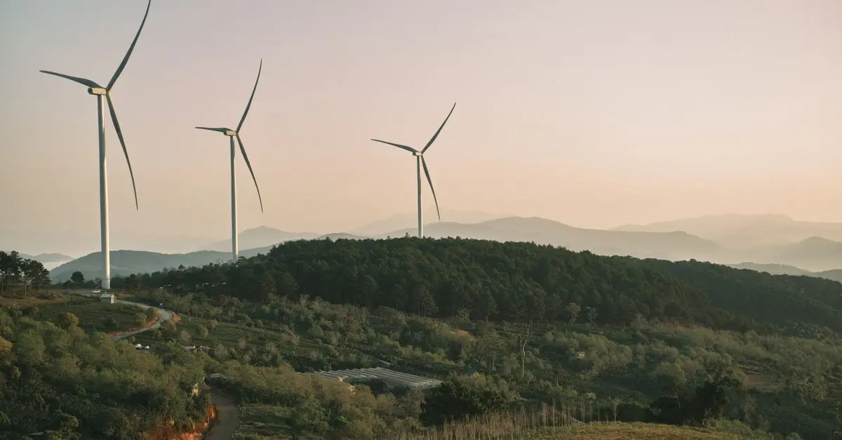 Comment les technologies vertes transforment l'avenir écologique