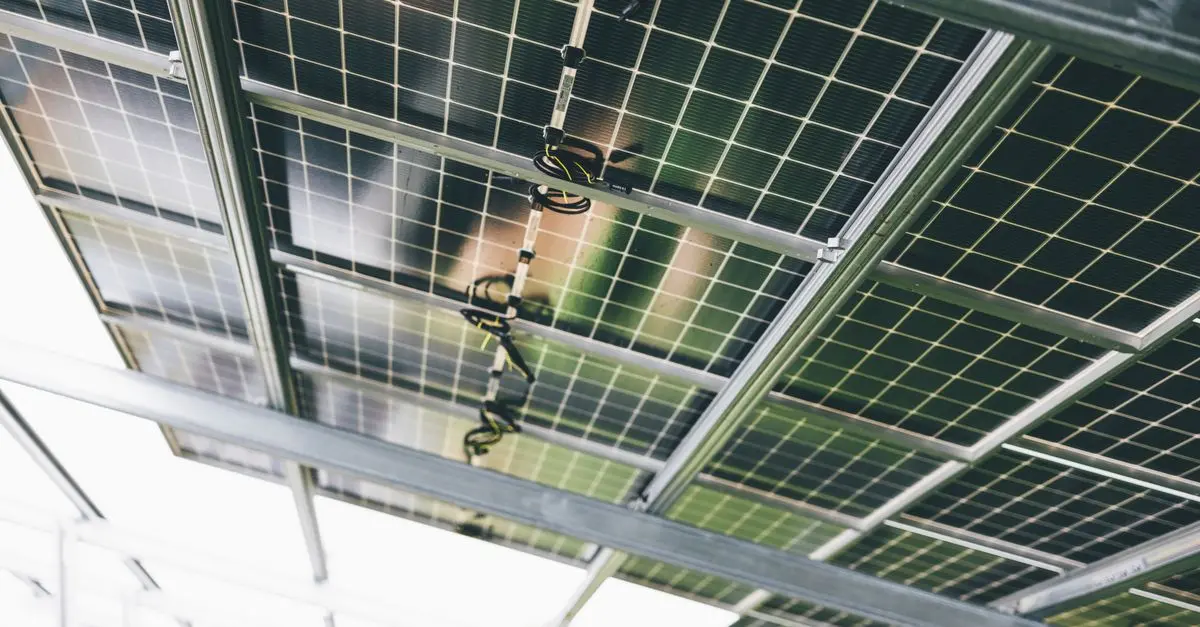 Comment se préparer à un avenir écologique durable