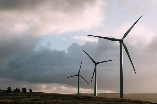 Les défis de l'avenir écologique : comprendre et agir