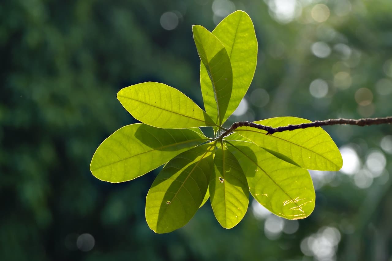 5 façons d'imaginer un avenir écologique pour nos enfants