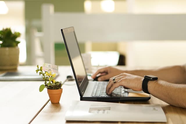 Comment les entreprises peuvent innover pour un avenir écologique