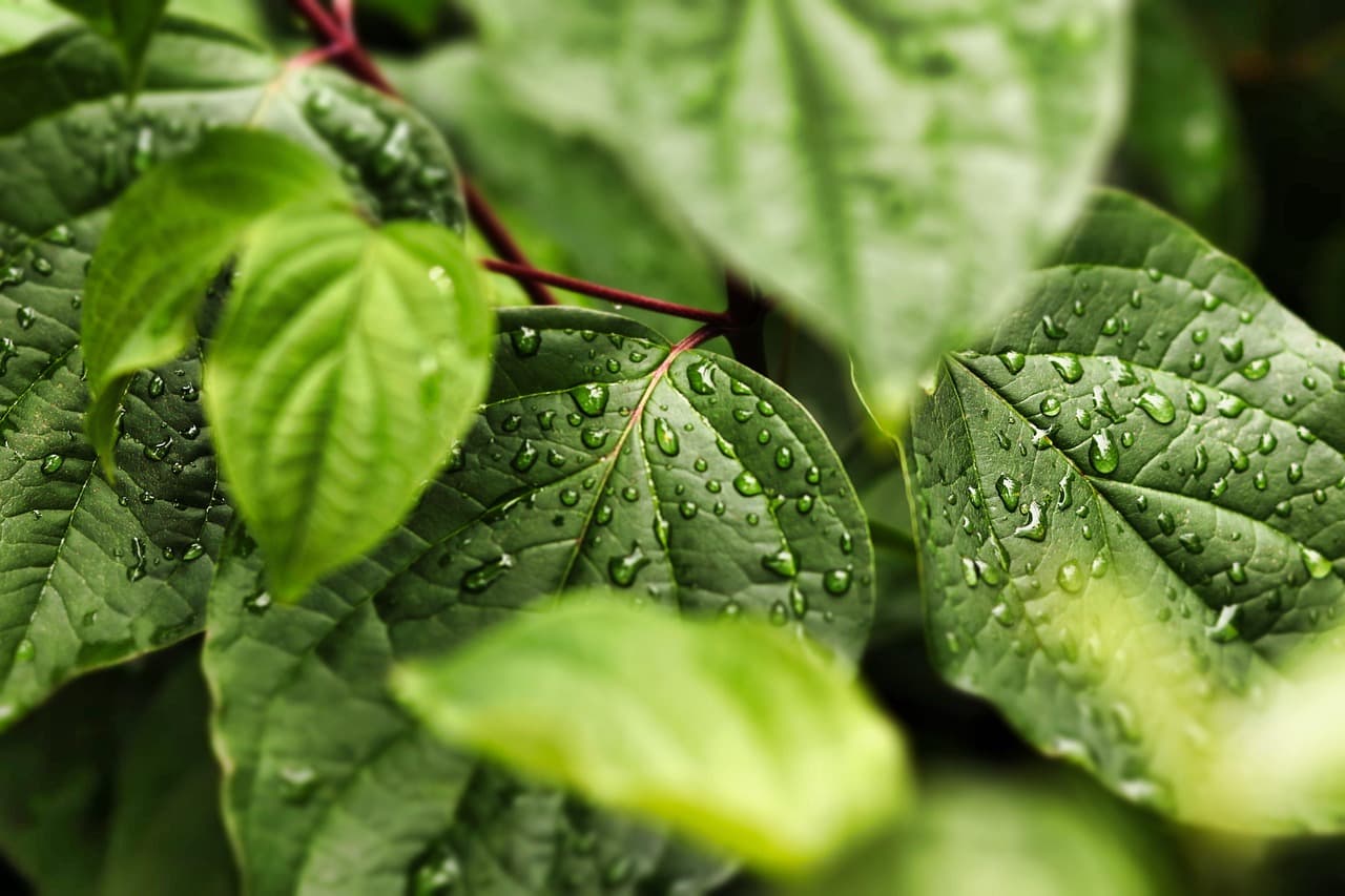 Comment préparer votre maison pour un avenir écologique durable