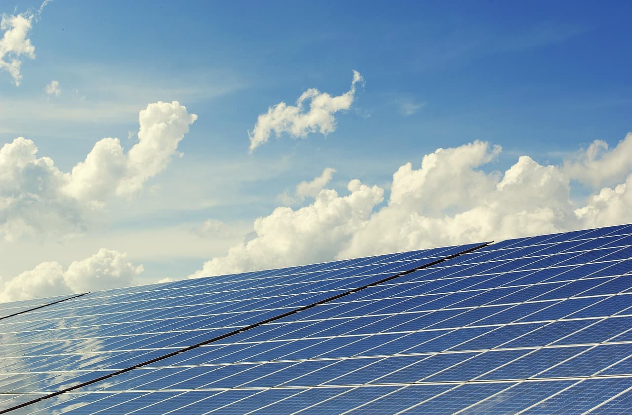 Les stratégies gagnantes pour un avenir écologique durable