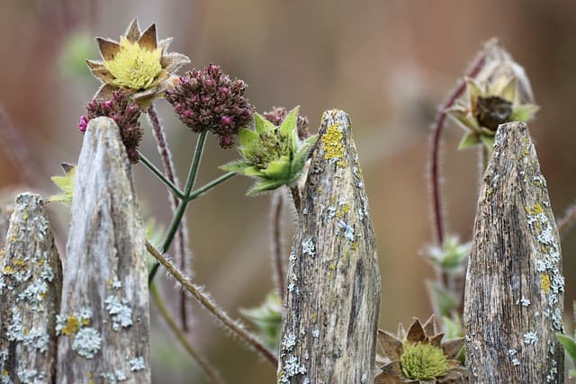 Comment préparer votre jardin pour un avenir écologique