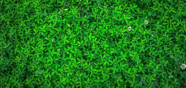 Les pratiques zéro déchet au quotidien pour un avenir écologique