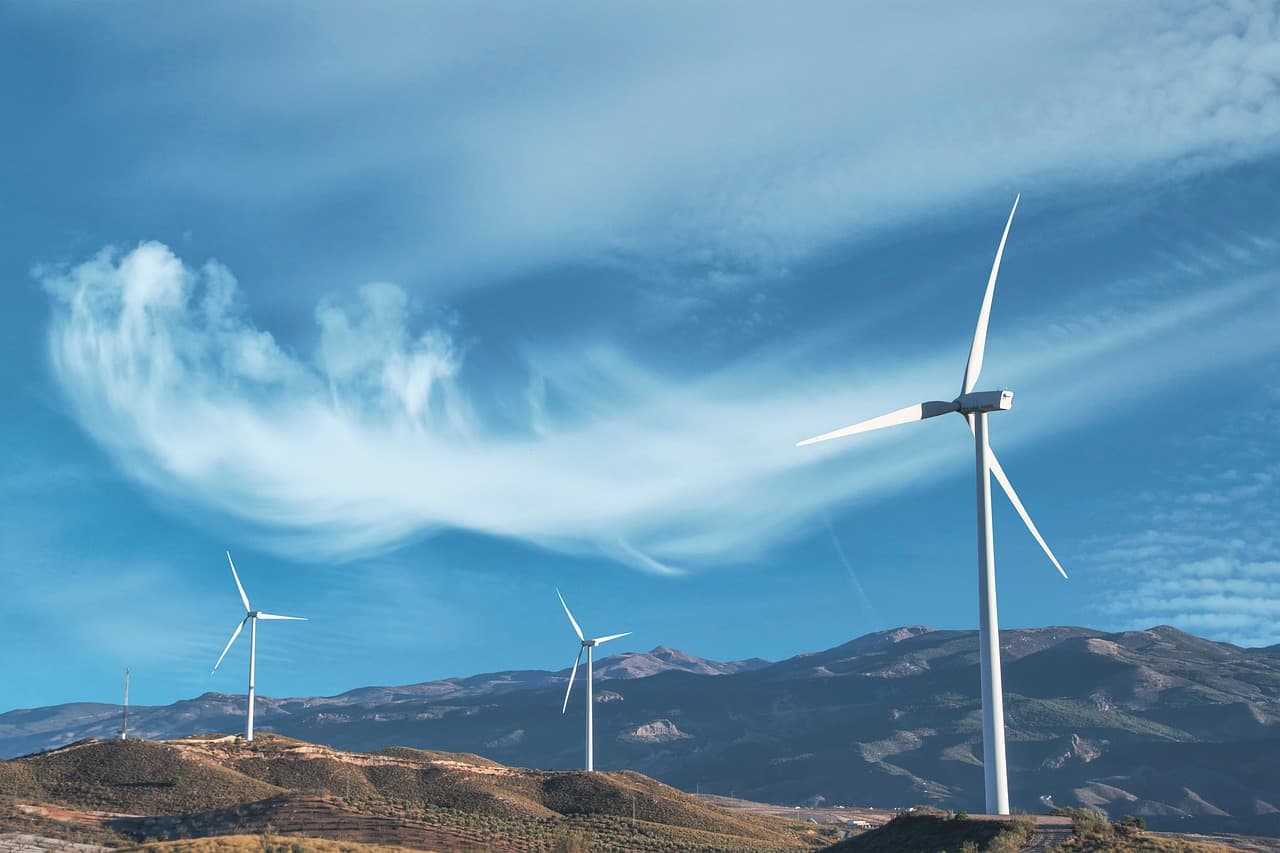 Comment les entreprises peuvent innover pour un avenir écologique